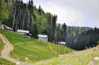 Derebalık Yaylası